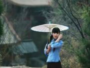 从诗经开始欣赏中文之美