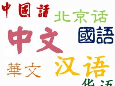 汉语365:第四天