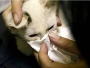 整天挂嘴边 却不认识或不会写的15个字