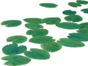 10个容易读错的字 你能读对几个?