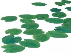 10个容易读错的字 你能读对几个?