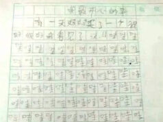 请你来给这些作文打分