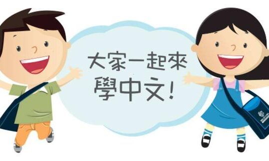 在线视频授课暑期班开始招生了!