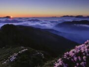 【音藥】徵音养心丨焦虑,心慌,胸闷,失眠等可常此乐