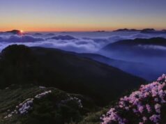 【音藥】徵音养心丨焦虑,心慌,胸闷,失眠等可常此乐