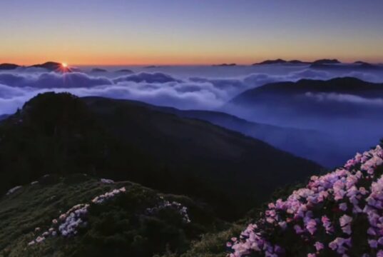 【音藥】徵音养心丨焦虑,心慌,胸闷,失眠等可常此乐