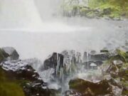 【音藥】调养五脏丨疏肝排毒,清肺去燥,养元安神,绝佳的五行乐