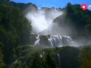 【音藥】徵调养心丨失眠,胸闷,压抑,心神不宁可常听此乐