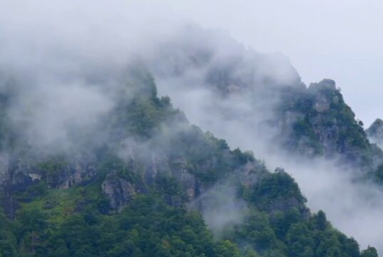 【音藥】角音疏肝丨抑郁,狂燥易怒,面色暗黄可常听此乐