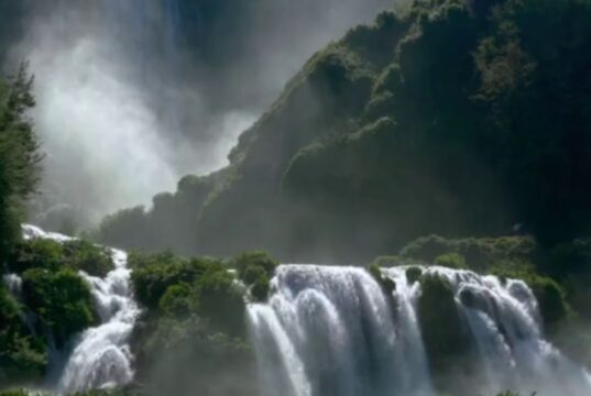 【音藥】调养肝肾丨脾气大,燥烦肝火旺,不只是疏肝还要养肾