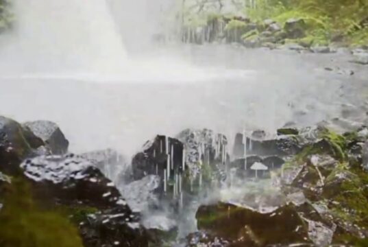 【音藥】调养五脏丨疏肝排毒,清肺去燥,养元安神,绝佳的五行乐