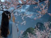 【音藥】滋养气血丨调畅气机,使脾胃发挥正常功能,养元气安神气