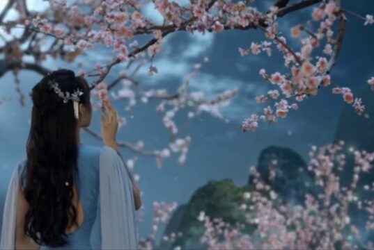 【音藥】滋养气血丨调畅气机,使脾胃发挥正常功能,养元气安神气