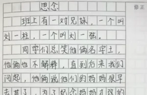 小学生作文,老师批:我拜你为师(组图)