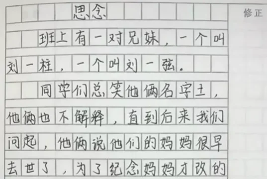 小学生作文,老师批:我拜你为师(组图)
